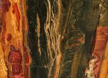 Marra Mamba Stromatolite Section ( lbs - Billion Years Old #64788-3
